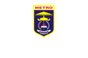 Kota Metro